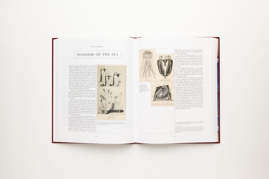 Book spread of an essay titled "Wonders of the Sea" with black and white animal diagrams
